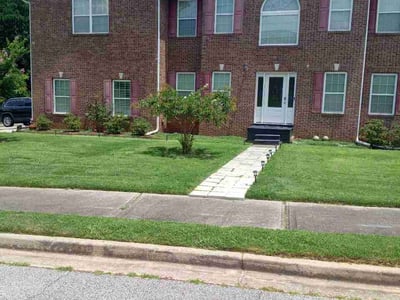 Lawn Care service in Flowery Branch, 30542