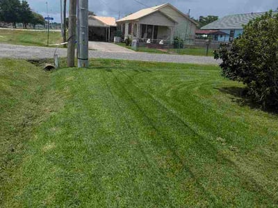 Lawn Care service in Houma, 70360