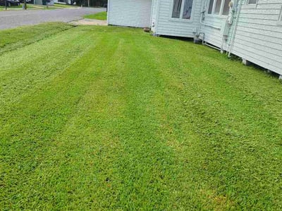Lawn Care service in Houma, 70360