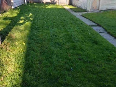 Lawn Care service in Superior, 54880