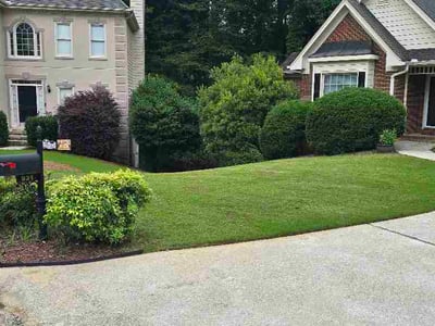 Lawn Care service in Flowery Branch, 30542