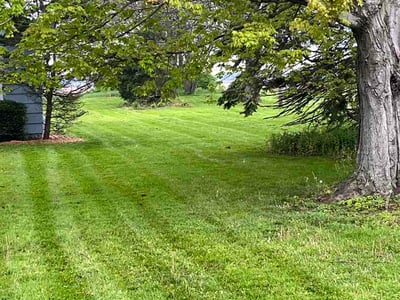 Lawn Care service in Superior, 54880