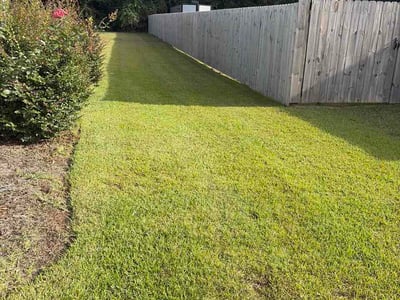 Lawn Care service in Saint Simons Island, 31522