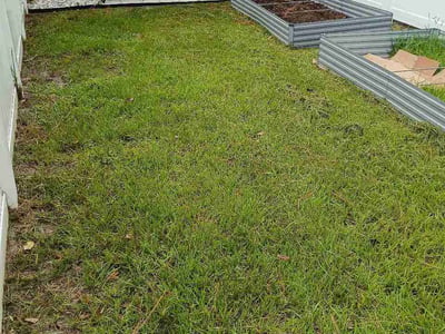 Lawn Care service in Saint Simons Island, 31522
