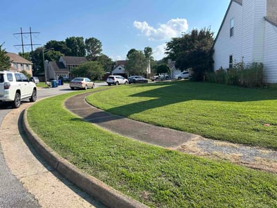 Lawn Care service in Abingdon, 24210