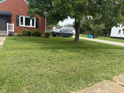 Lawn Care service in Abingdon, 24210