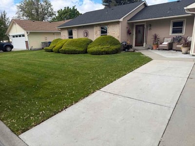 Lawn Care service in Albany, 97321