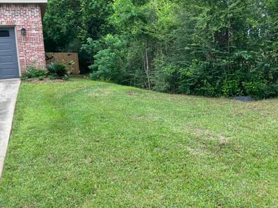 Lawn Care service in Moss Point, 39563