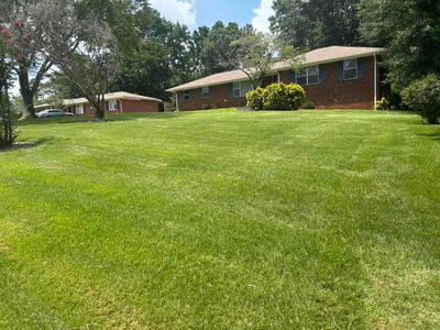 Lawn Care service in Corbin, 40701