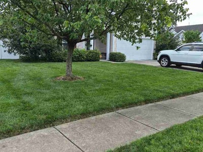 Lawn Care service in Charlottesville, 22902