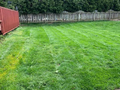 Lawn Care service in Erie, 16507