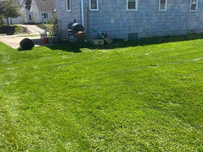 Lawn Care service in Erie, 16507