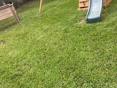 Lawn Care service in El Centro, 92243