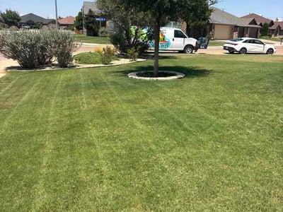 Lawn Care service in Odessa, 79761