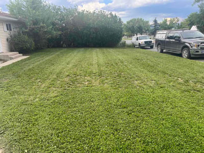 Lawn Care service in Missoula, 59802