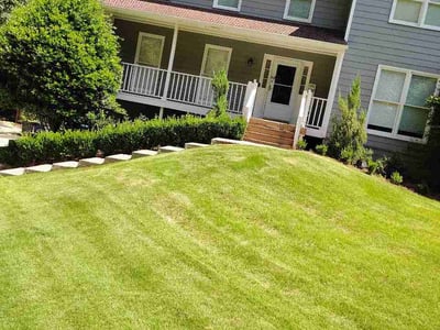 Lawn Care service in Branson, 65616