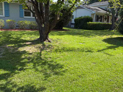 Lawn Care service in Wilmington, 28403