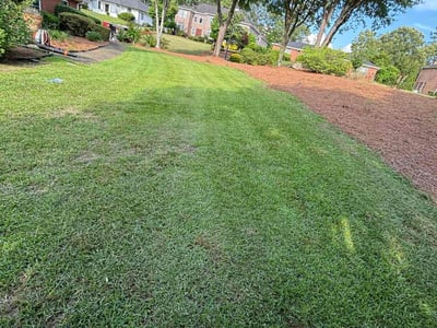 Lawn Care service in Yuba City, 95991