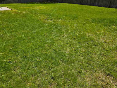 Lawn Care service in Springfield, 97477