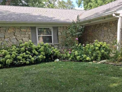 Lawn Care service in Martinsburg, 25401