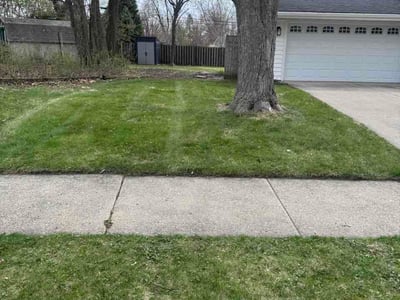 Lawn Care service in Wausau, 54403
