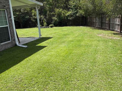 Lawn Care service in Brunswick, 31520