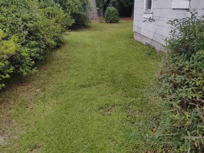 Lawn Care service in Lumberton, 28358