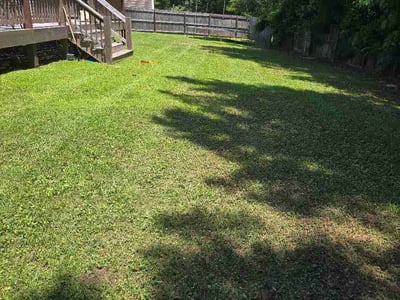 Lawn Care service in Lumberton, 28358