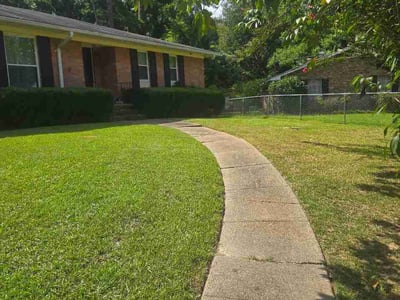 Lawn Care service in Hattiesburg, 39401