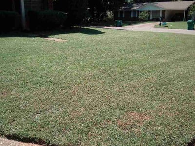 Lawn Care service in Hattiesburg, 39401