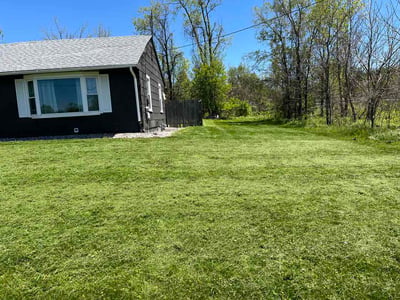 Lawn Care service in Janesville, 53545