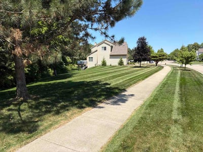 Lawn Care service in Burton, 48519