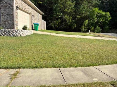 Lawn Care service in Daphne, 36526