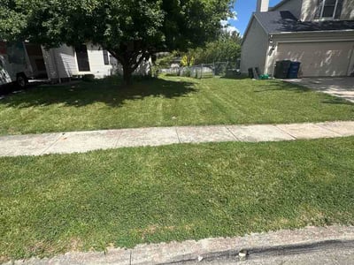 Lawn Care service in Millville, 08332