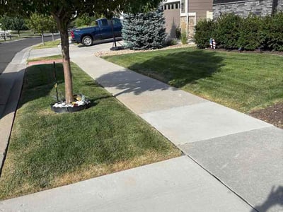 Lawn Care service in Bronx, 10462