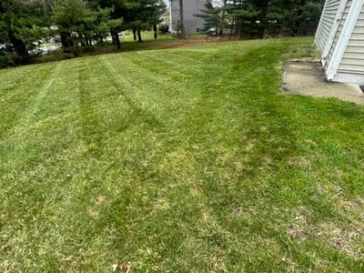 Lawn Care service in Webster, 01570