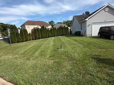 Lawn Care service in Dover, 19904
