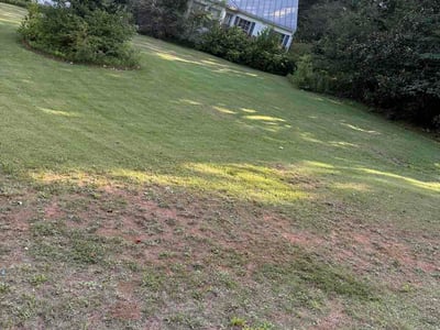 Lawn Care service in Anniston, 36201