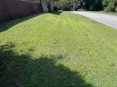 Lawn Care service in Crestview, 32536