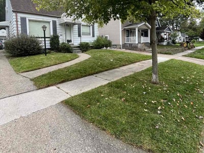 Lawn Care service in Edison, 08817