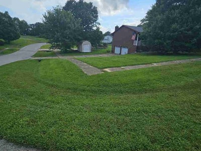 Lawn Care service in Radcliff, 40160