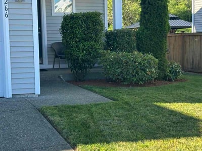 Lawn Care service in Port Orchard, 98366