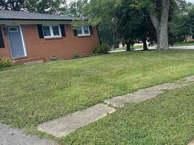Lawn Care service in Hopkinsville, 42240