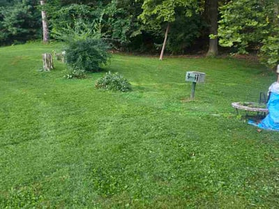 Lawn Care service in Radcliff, 40160