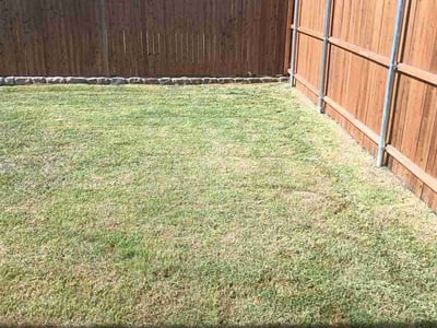 Lawn Care service in Chico, 95928