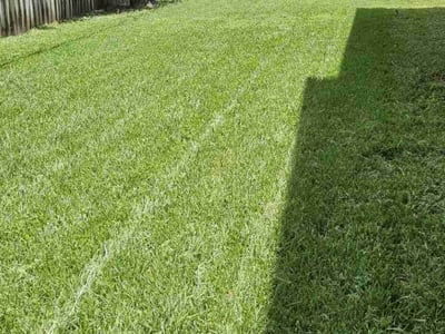 Lawn Care service in Port Orchard, 98366