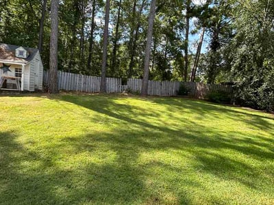 Lawn Care service in Eugene, 97401
