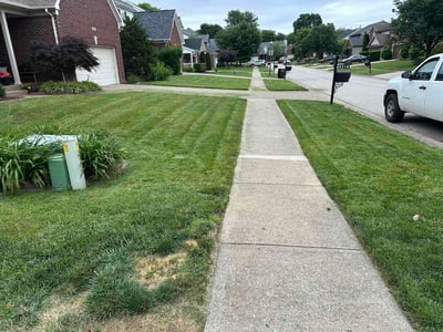 Lawn Care service in Radcliff, 40160