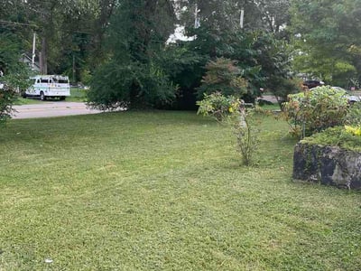 Lawn Care service in Rogersville, 37857