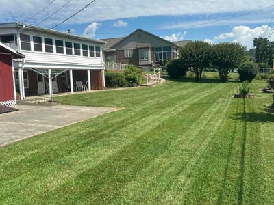 Lawn Care service in Rogersville, 37857